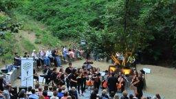 Música als parcs