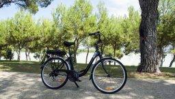 bici elettrica
