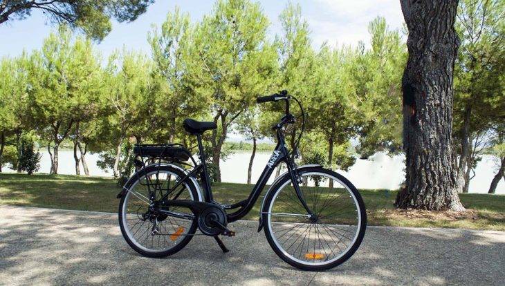 bici elettrica