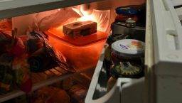 frigo convivenza