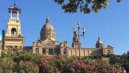 mnac settembre