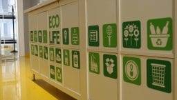 sleep green hall