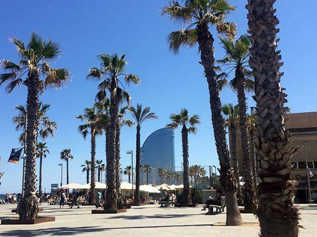 hotel W palme